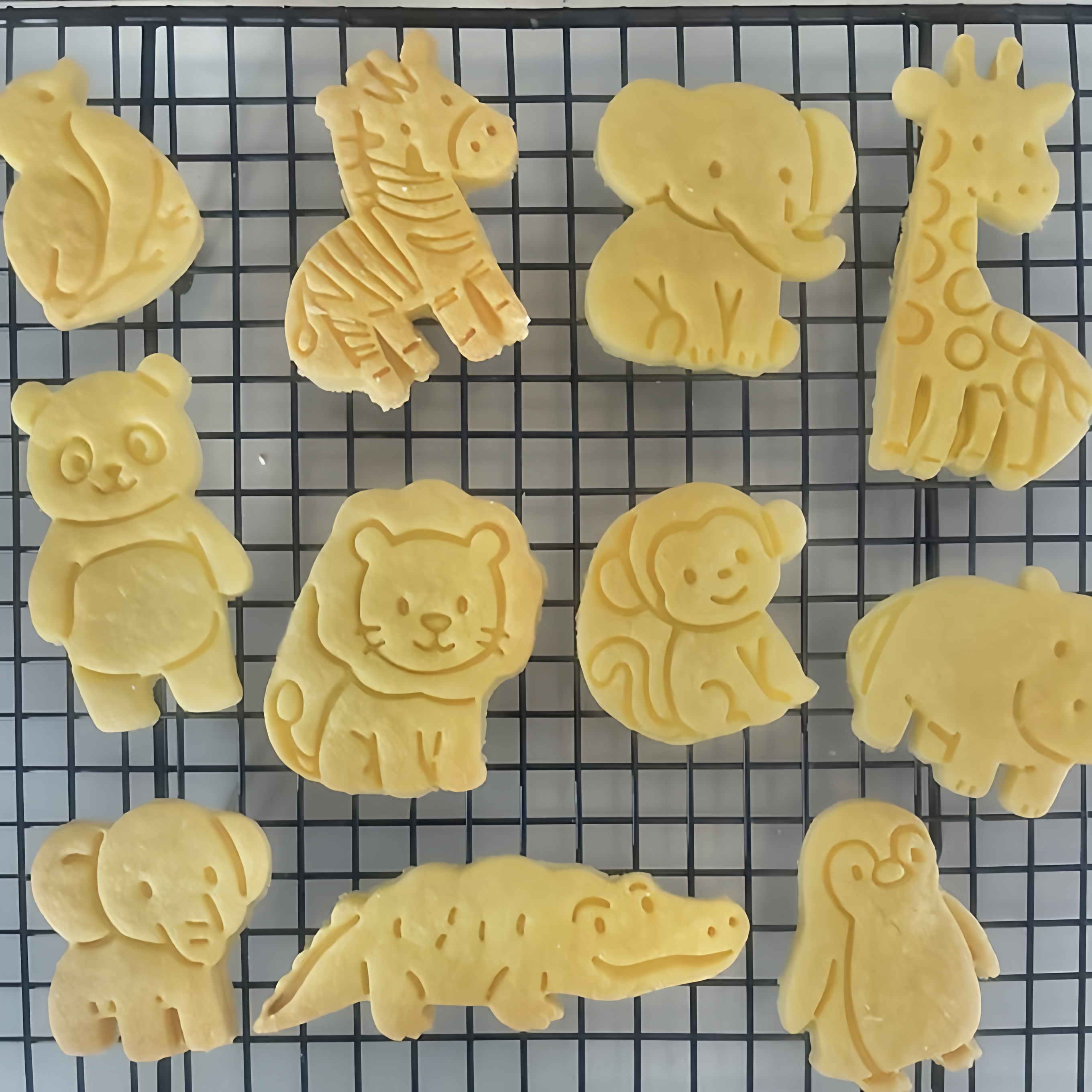Cartoon Animal Biscuit Cutter  - Baking Kitchen Kids recensie en prijs